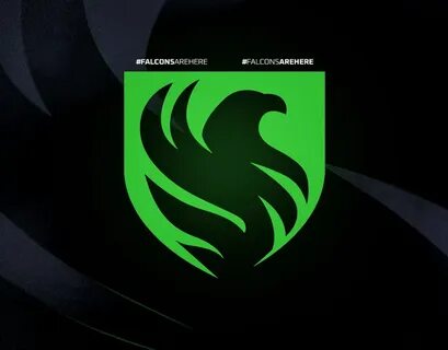 Falcons cs 2 состав