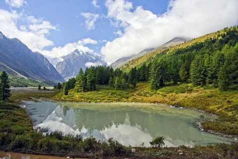 Барнаул алтайские горы