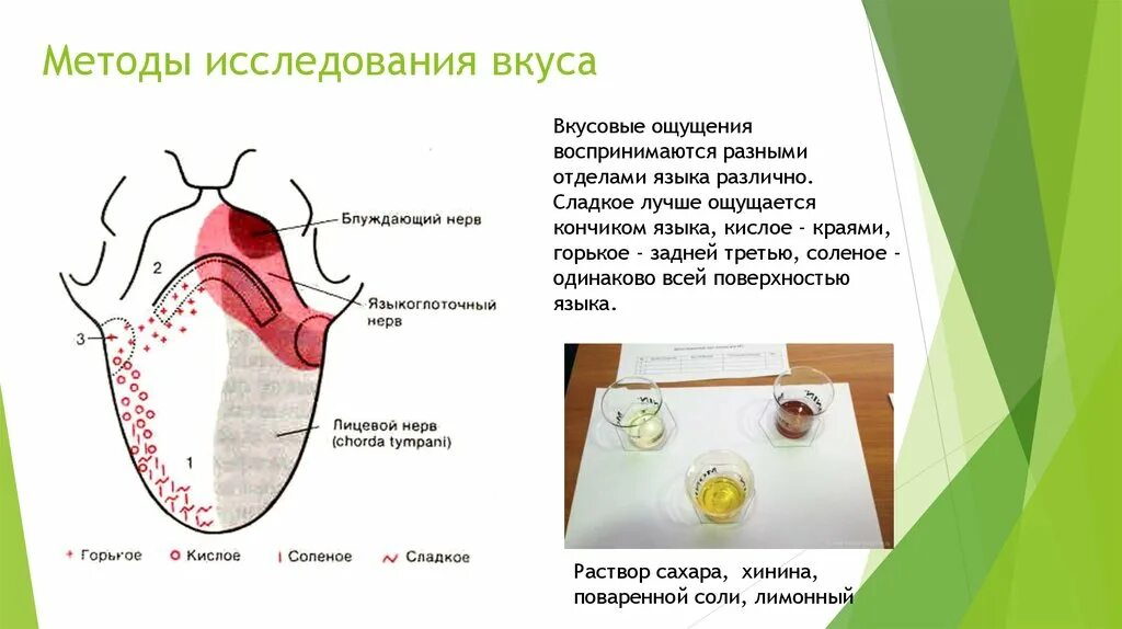 Способы определения языка