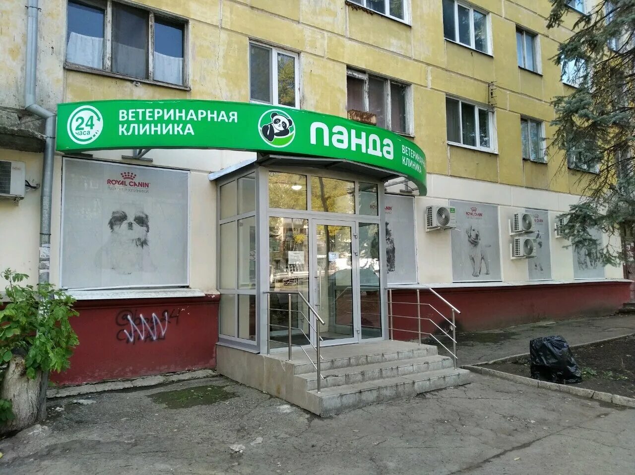 кунг фу панда 2022. панда 4 самара. панда обои. медведь панда. доктор панда ветеринарная клиника.