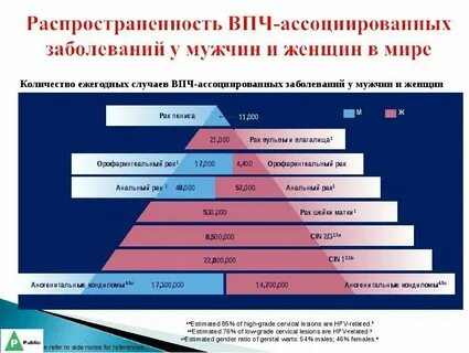 Аногенитальные бородавки по утвержденным клиническим рекомендациям тест