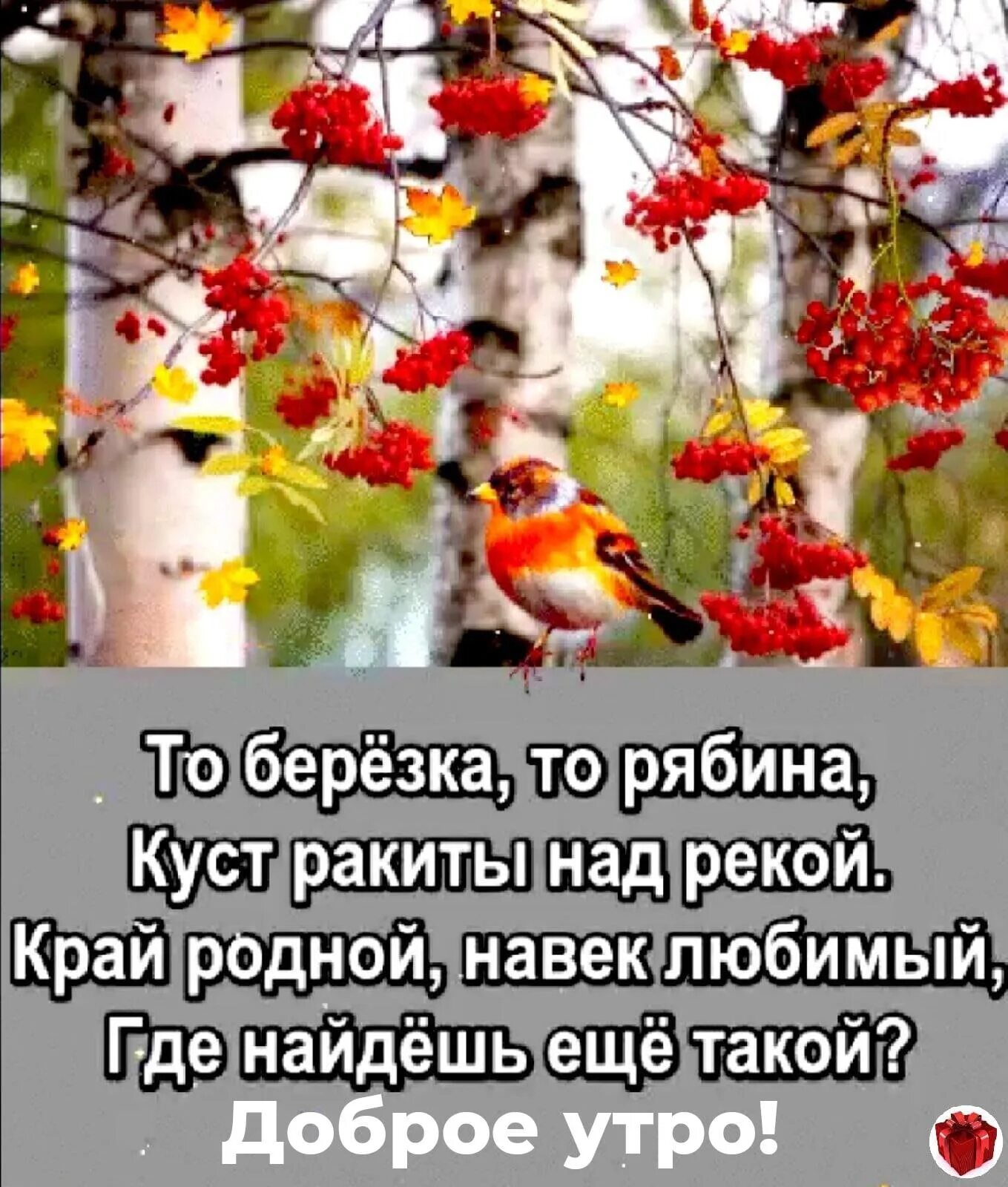 То берёзка то рябина. То берёзка то рябина куст Ракиты. То Березка то Рябинка. То Березка то рябина кусты Ракиты над рекой край родной навек любимый.