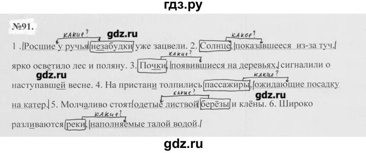 Волжский класс 7 класс русский. Русский язык 7 класс ладыженская упражнение 91. Русский язык 7 класс упражнение 91 Баранов ладыженская.