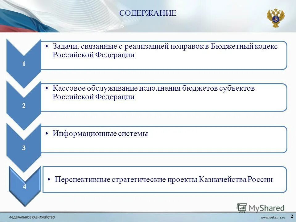 Проекты казначейства