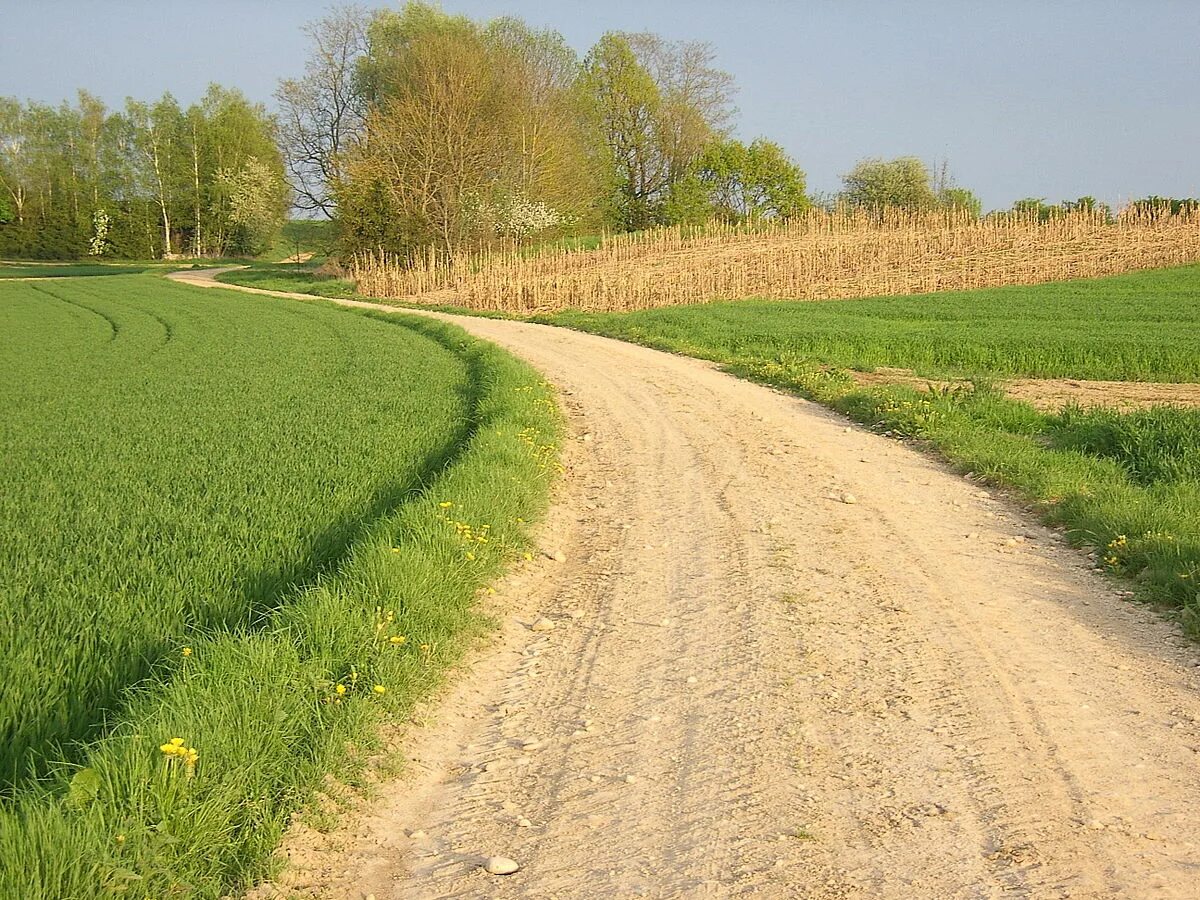 Грунтовая дорога. Поле и дорога на ферму. Weg. Грунтовые дороги в Германии фото.