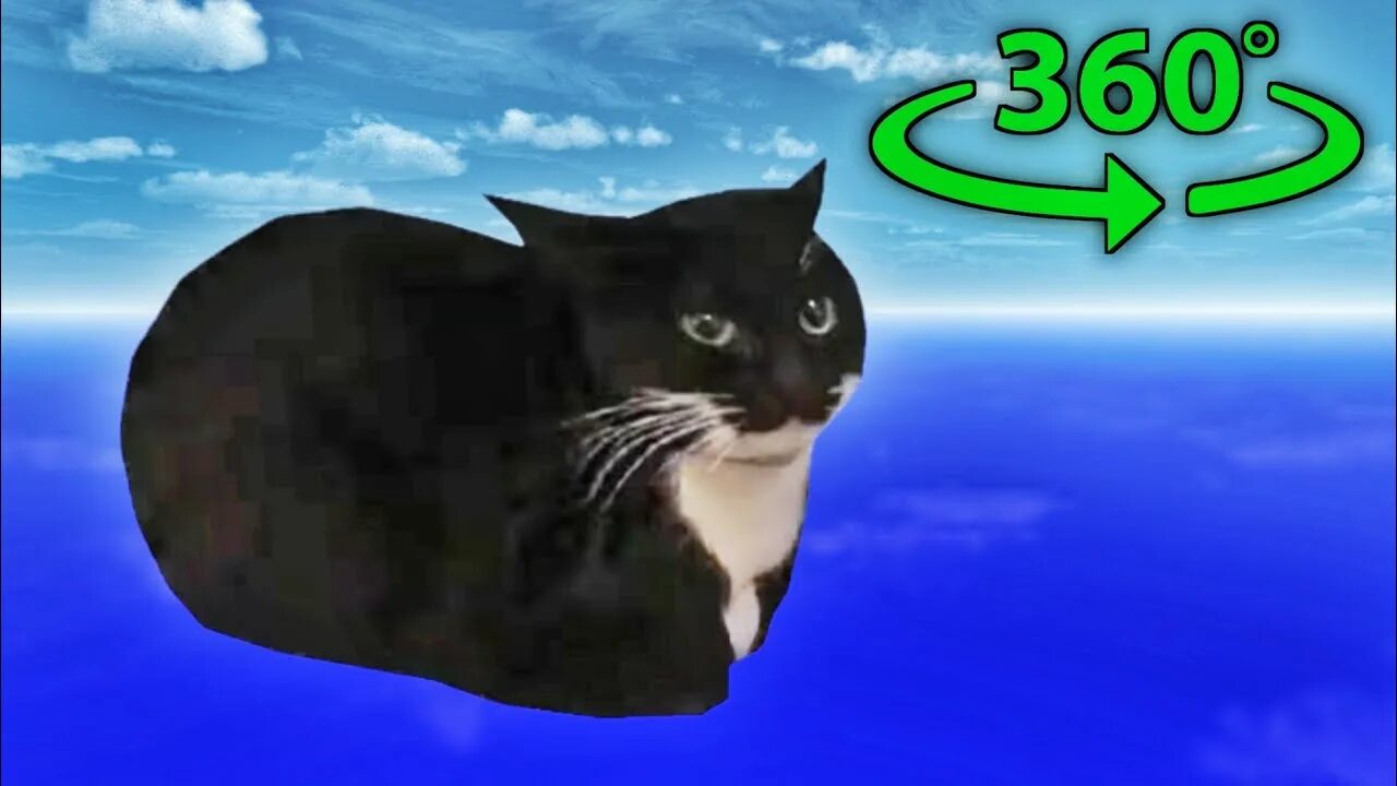Откуда мем с котом Максвеллом (Дингус). На видео крутящийся 3D-кот попал в игры