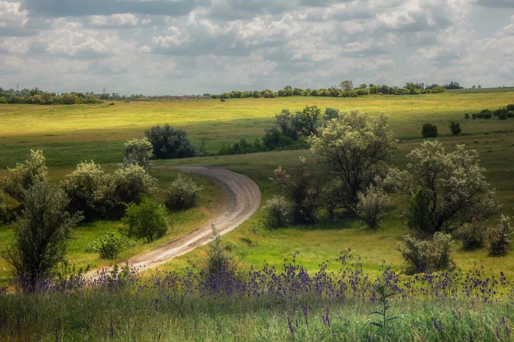 Украинский край. Украинская природа. Пейзажи Украины. Природа Восточной Украины. Пейзажи украинской природы.