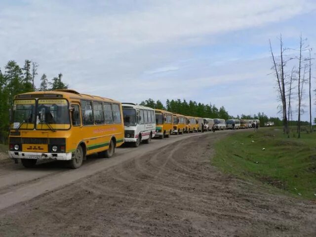 Автобус дол. Эвакуация населения на автобусах. Колонна автобусов. Автобусы Чернобыля. Колонна автобусов из Припяти.