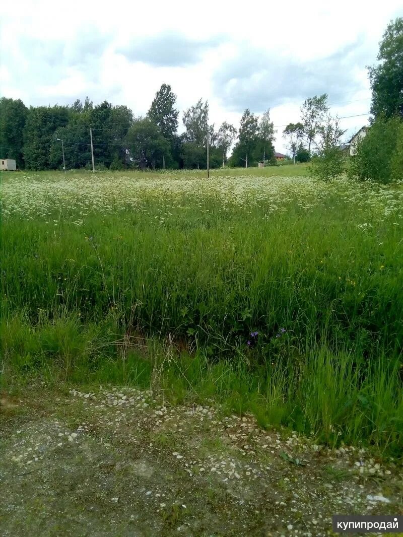 Жители деревни луги