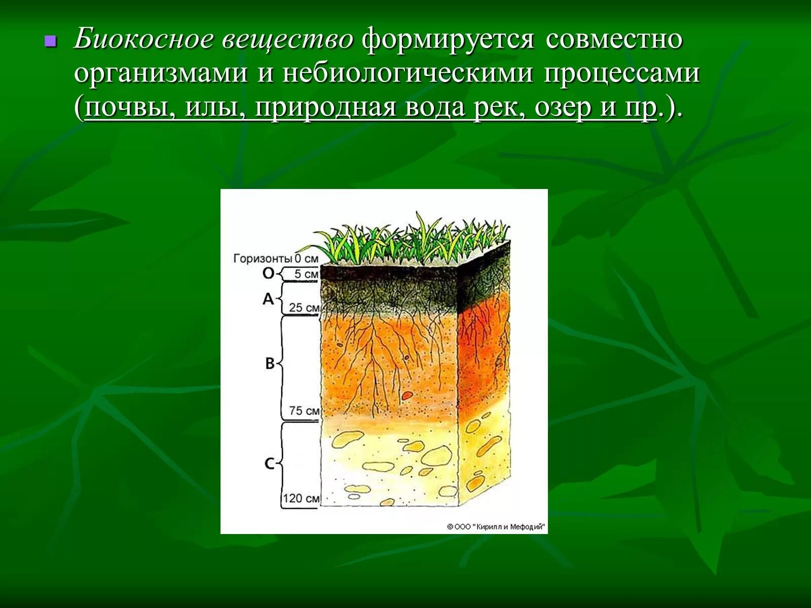 Примерами биокосного вещества являются. Костное вещество и биокосное вещество. Юилеосное вещество. Биокосное вещество биосферы. Почва биокосное вещество.