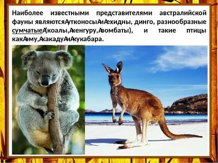 Животные австралии 4 класс