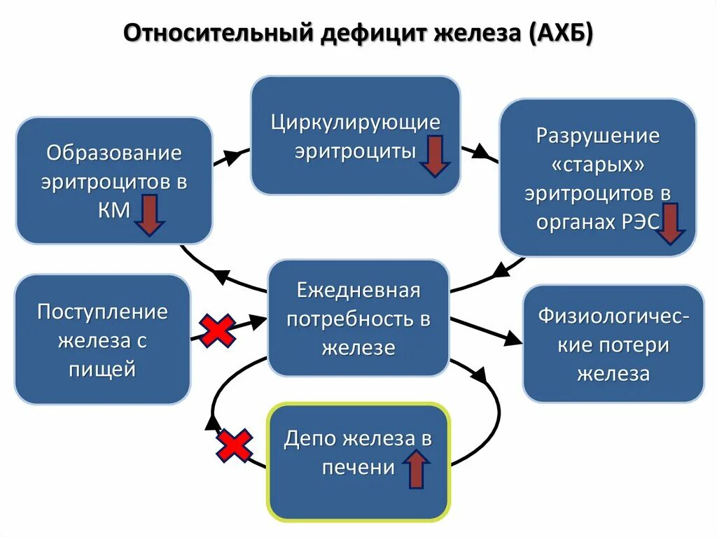 Именно дефицит. Относительный дефицит железа. Функциональный дефицит железа. Недостаточность поступления железа. Абсолютный и относительный дефицит железа.