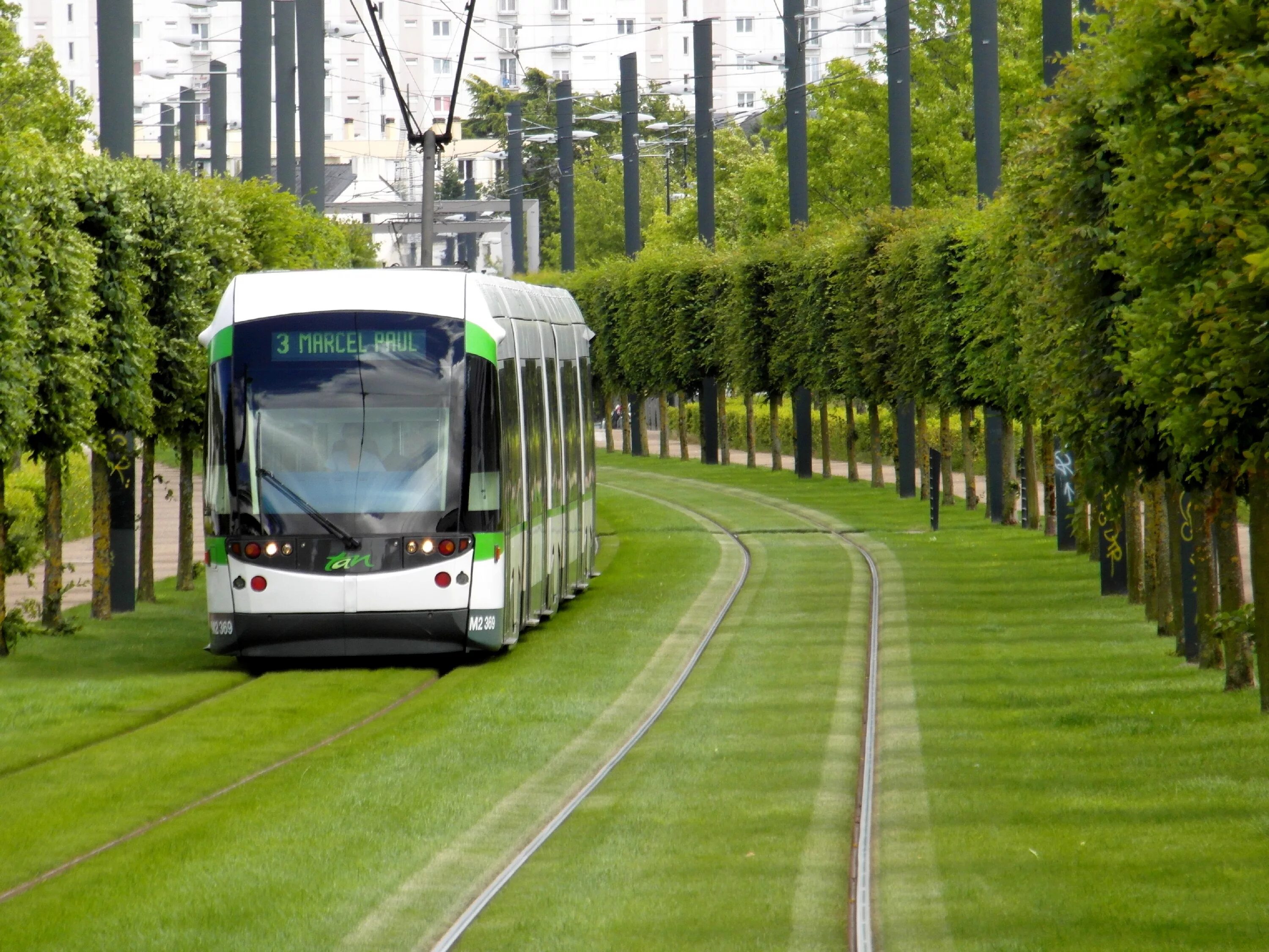 Public transportation. Транспорт. Трамвай экологичный транспорт. Экологически чистый транспорт. Зеленый транспорт.