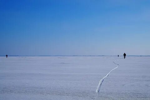 Вода в куршском заливе