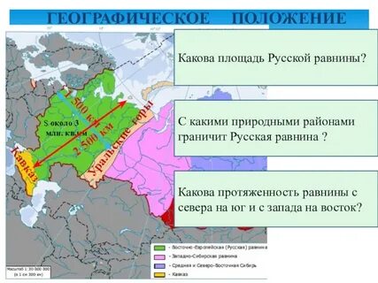 Заштрихуйте природные районы русской равнины
