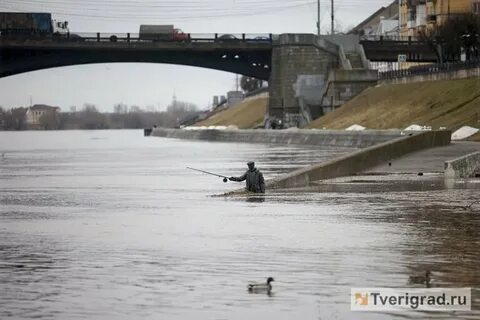 Уровень волги в твери