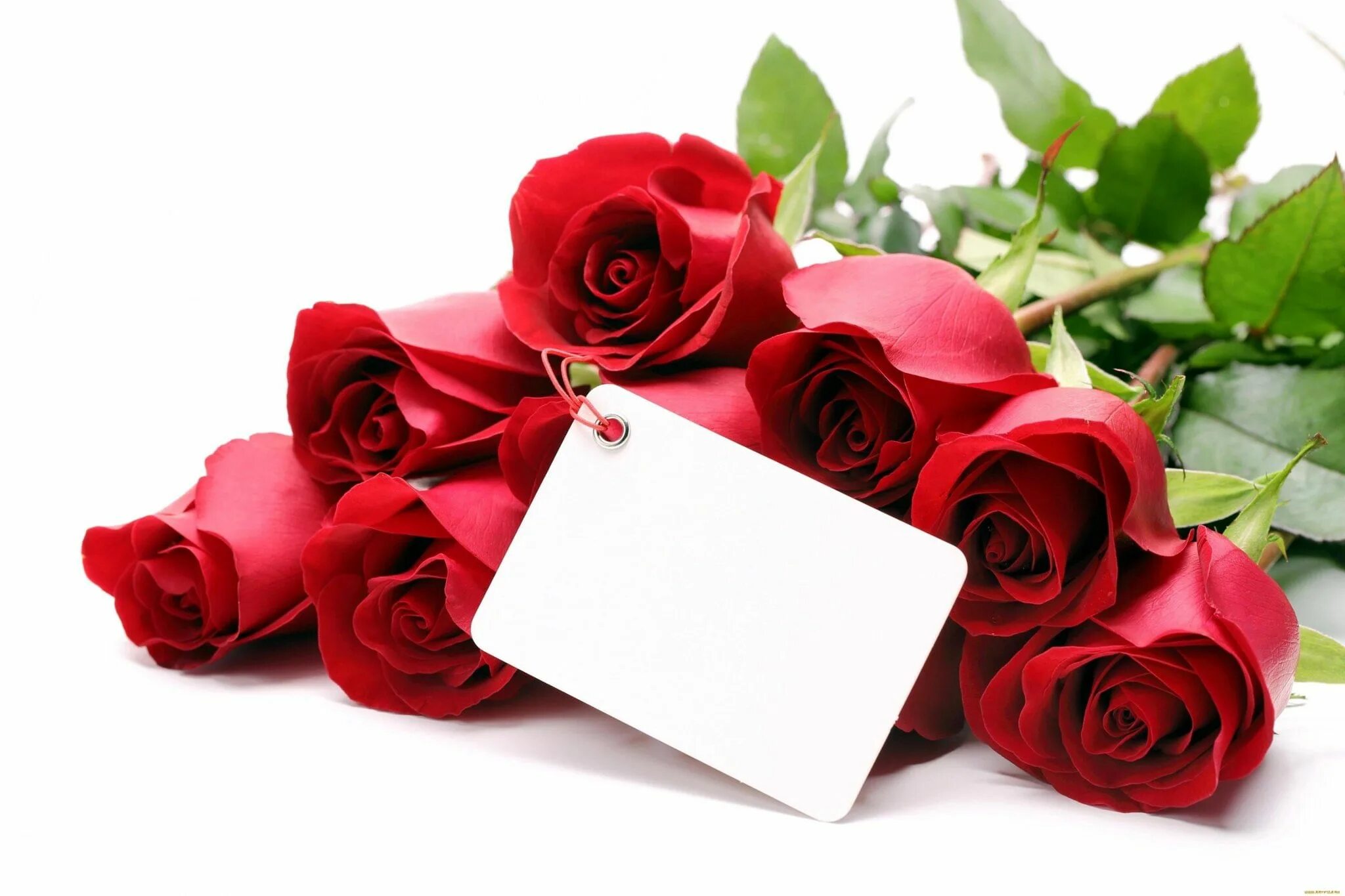 Открытка цветы. Открытки с розами. Цветы поздравления. С днём рождения красные розы.