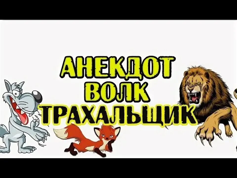 Анекдот про Льва и волка. Анекдот лиса волка