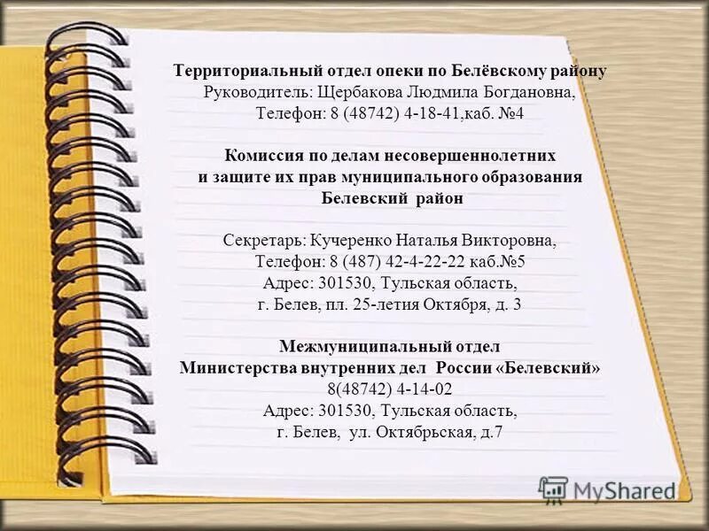 График работы флюорографического кабинета. Блюхера 25 большой камень приморский край. Территориальный отдел опеки. Отдел опеки владивосток. Тула революции улица опека.