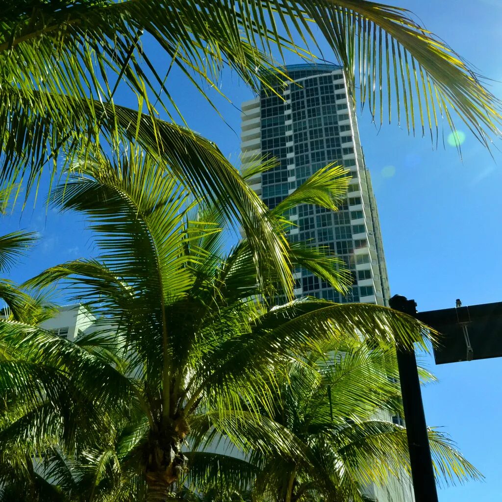Оушен драйв майами. Вечеринка в майами. Черно белые фото майами. Miami black. Skyline.