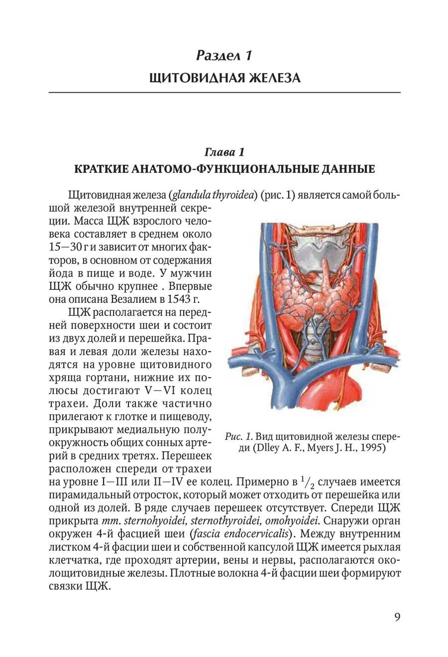 Какой врач железы. Анатомия строения щитовидной железы и паращитовидной железы. Щитовидная железа топография строение функции. Внешнее строение щитовидной железы. Кровоснабжение щитовидной железы и паращитовидных желез.