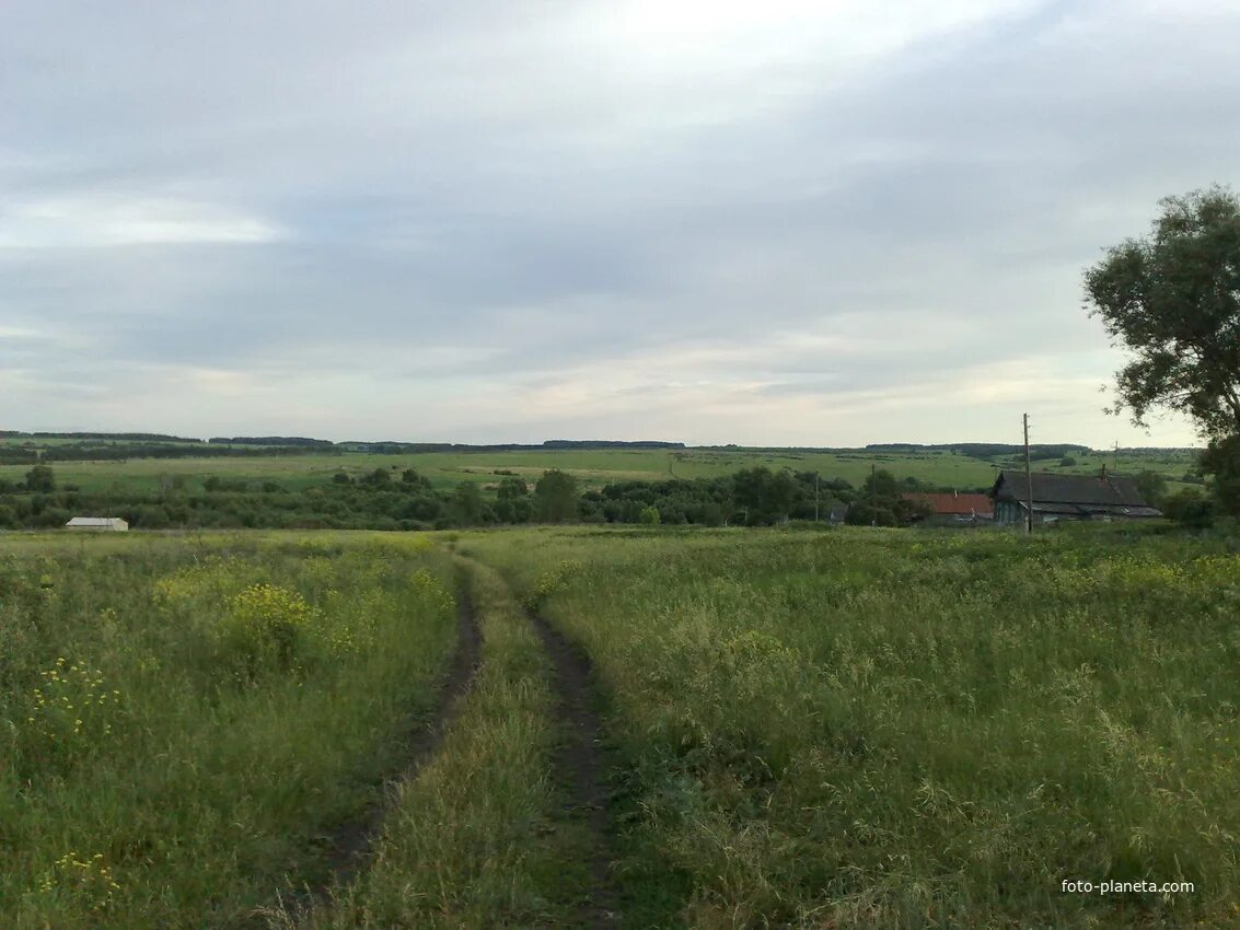 Богородск пензенская область. Широкоис пензенская область. Погода широкоис. Широкоис пензенская область. Погода широкоис.