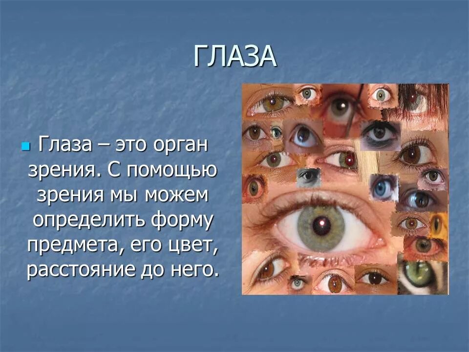 Реферат на тему глаза. Органы чувств глаза. Орган зрения презентация. Доклад на тему глаз. Презентация на тему глаза человека.