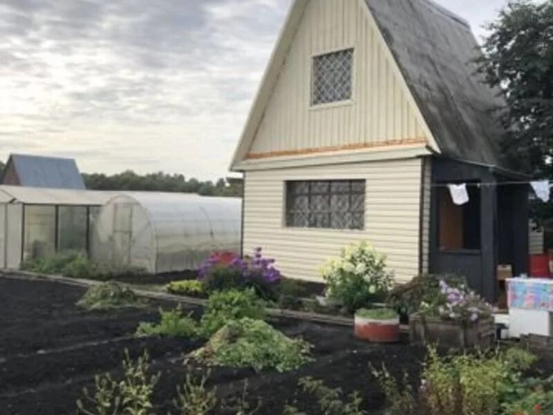 садовое общество. дача кемерово свежие. кемерово дачные домики. недвижимость кемерово дачи. дача кемерово свежие.