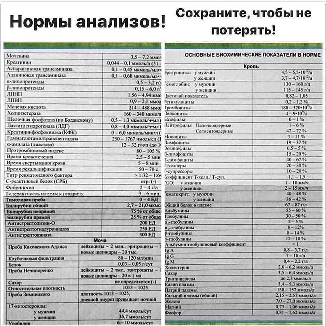 Нормальные показатели биохимии. Анализы показатели нормы. Биохимия показатели нормы. Биохимический анализ норма. Анализ крови показатели нормы.