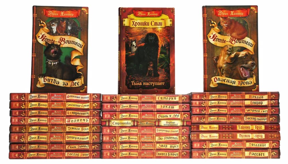 порядок книг коты воители эрин хантер. книга коты воители стань диким. эрин хантер коты воители все книги. эрин хантер список книг по порядку. хроники стаи эрин хантер книга.