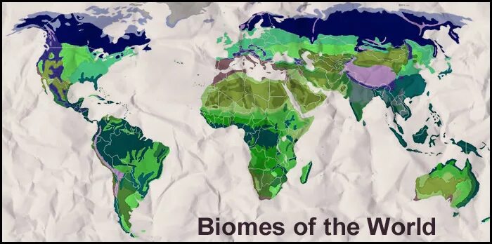 Биомы суши. Зональные биомы. Карта биомов земли. Биомы суши карта.