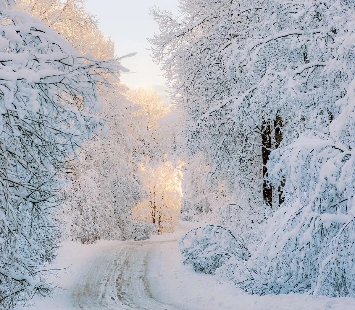 Зимнее снежное день. Зимний пейзаж. Зимняя природа. Белоснежная зима. Зима Мороз.