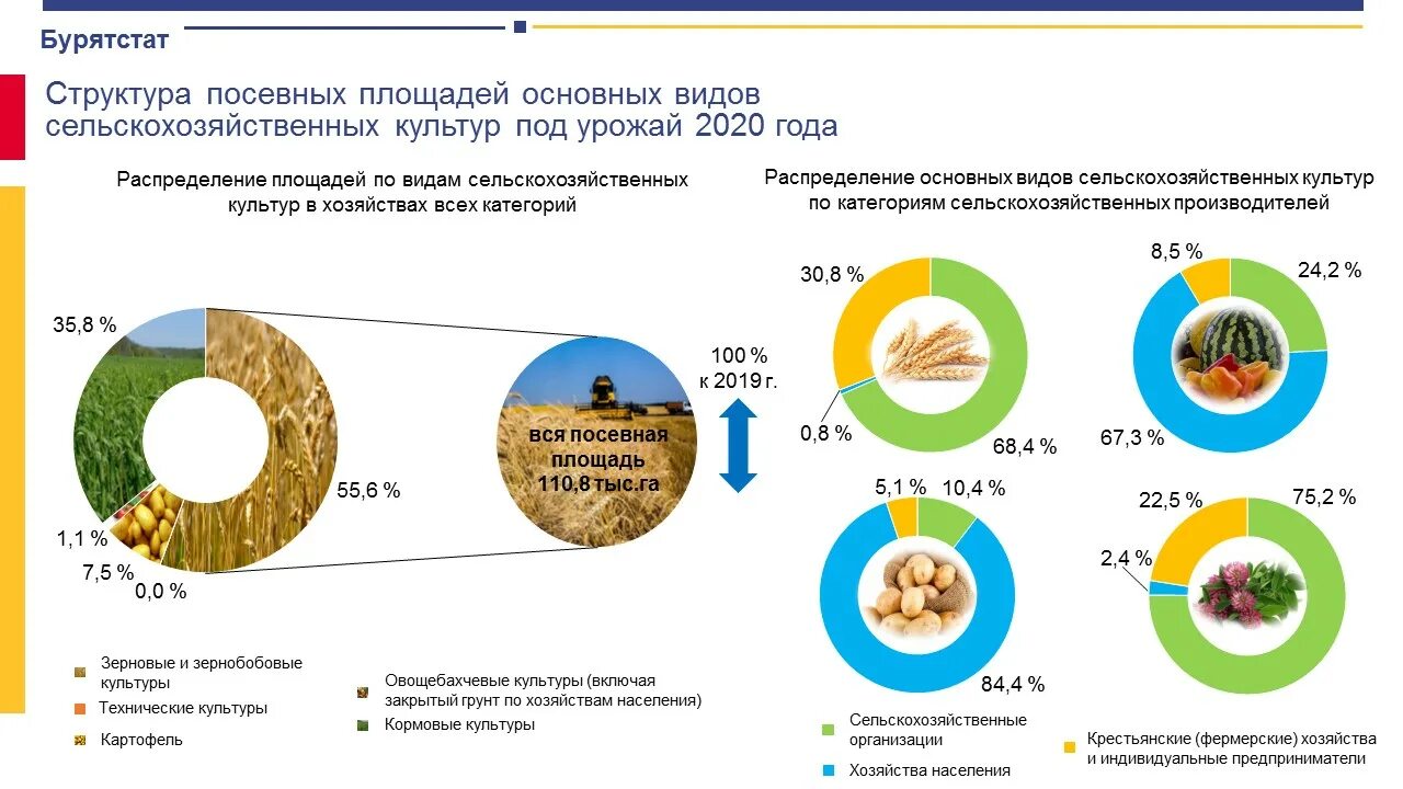 Структура посевных площадей и урожайность культур. Структура посевных площадей сельскохозяйственных культур 2021. Сельское хозяйство России статистика 2020. Структура посевных площадей таблица 2021. Районы производства сельскохозяйственной продукции