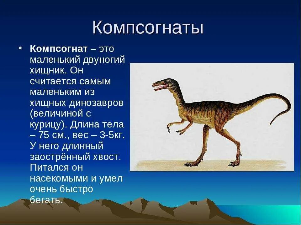 Хищный динозавр Компсогнат. Компсогнат динозавр доклад. Самый маленький динозавр Компсогнат. Компсогнат 1 класс. Рассказ про динозавров для 1 класса