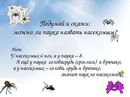 Паук фразы