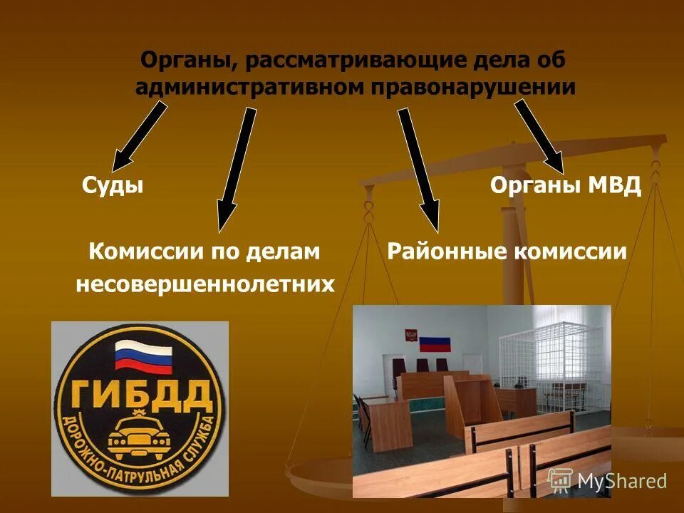 Органы рассматривающие дела об административных правонарушениях. Органы рассматривающие административные правонарушения. Процессуальное право административная юрисдикция. Органы административной юрисдикции.