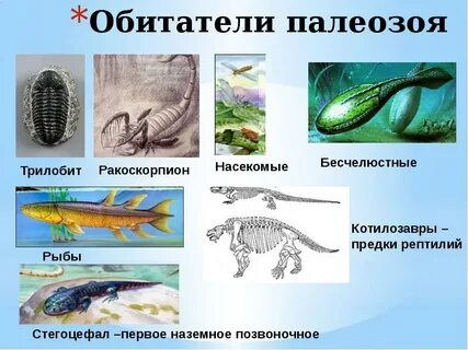 Когда появились первые позвоночные животные эра