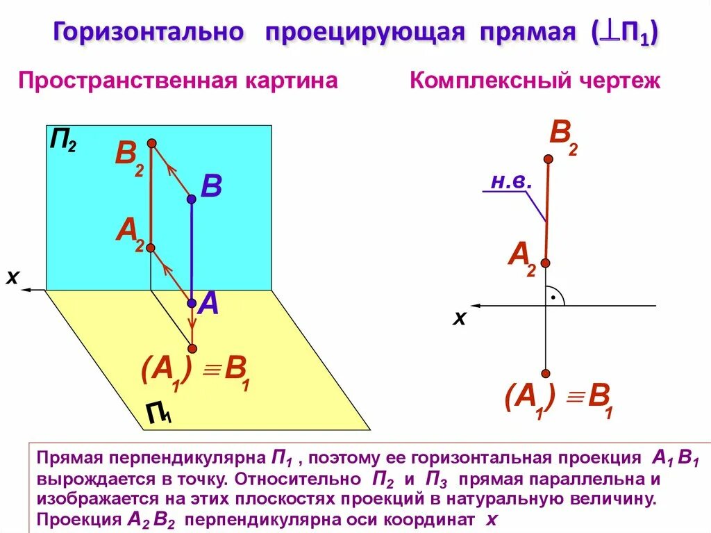 Прямая проецирующего положения. Проекция горизонтально проецирующей прямой на п1. горизонтально-проецирующая прямая параллельна п1 и п2. комплексный чертеж горизонтально проецирующий. проекция прямой перпендикулярной горизонтальной плоскости проекций.
