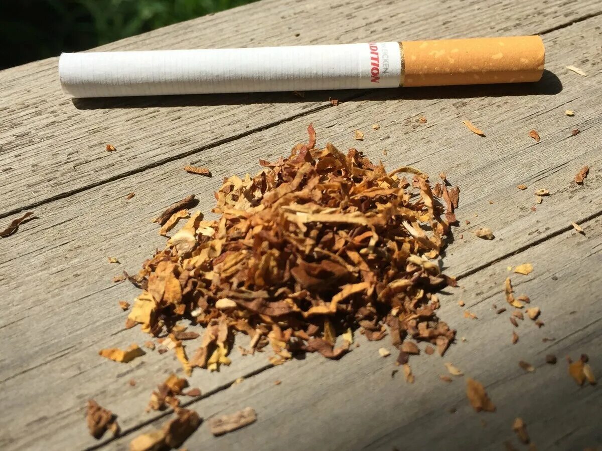 Самокрутки табак сигареты