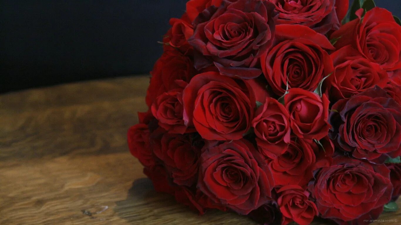 Цветы розы красные. Красные розы. Букет роз. Букет алых роз. Цветы розы Алые.