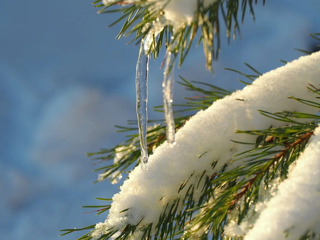 оттепель в качестве. оттепель. весенняя оттепель. зимняя оттепель. оттепель.