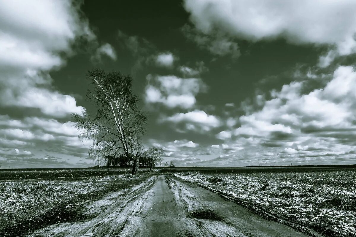 эх, дороги!. лев ошанин эх дороги. эх, дороги!. эх дороги пыль. стих эх дороги.
