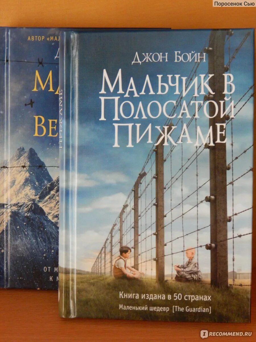 Джон бойн книги отзывы. Мальчик в полосатой пижаме Джон Бойн книга. Мальчик в полосатой пижаме Джон Бойн книга отзывы. Джон Бойн мальчик в полосатой пижаме книга купить вайлдберис. Мальчик в полосатой пижаме книга сколько страниц в книге.