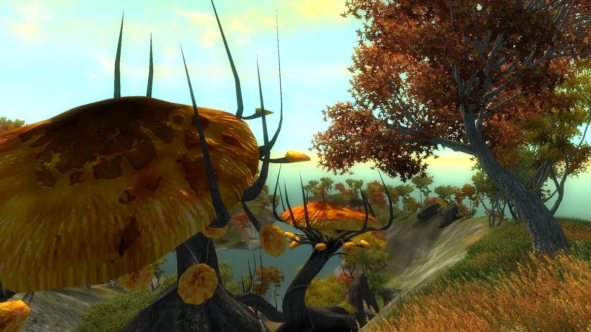 Святой дозор. The Elder Scrolls Oblivion дрожащие острова. Дрожащие острова обливион Шеогорат. Обливион дрожащие острова грибы. Shivering Isles.