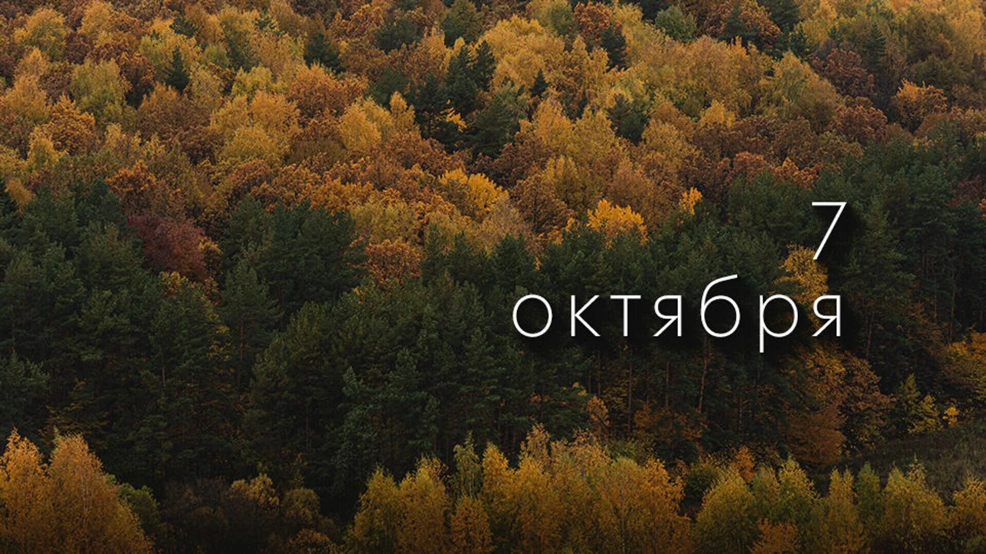 5 7 октября. Седьмое октября картинки. Октябрь какой. 7 October.