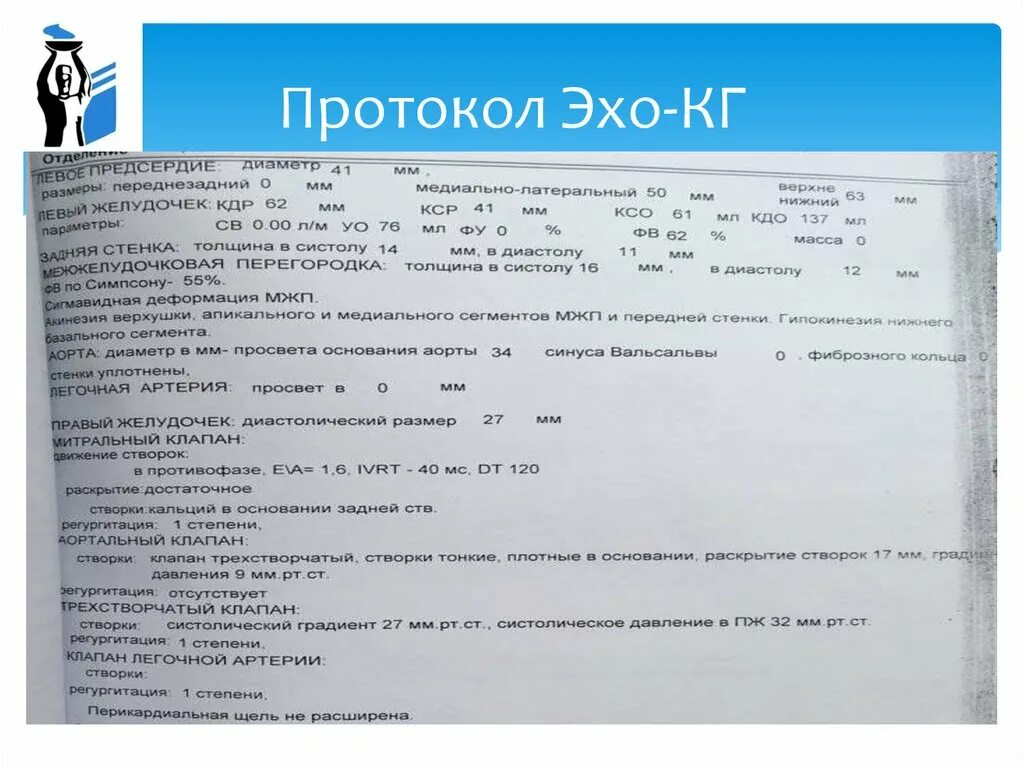 Протокол эхокг. Протокол эхокардиографии. эхокг протокол исследования. протокол эхокг образец.
