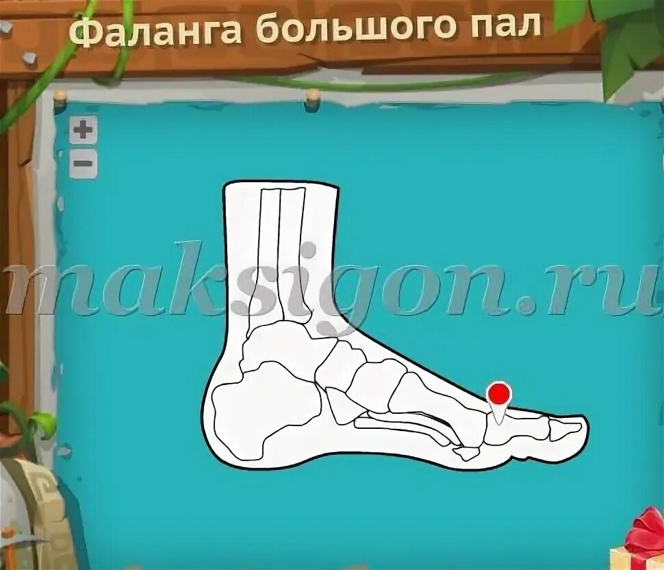 Как пройти 83 уровень в игре. Как пройти 83 уровень в игре