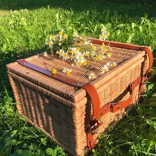Чемодан для пикника