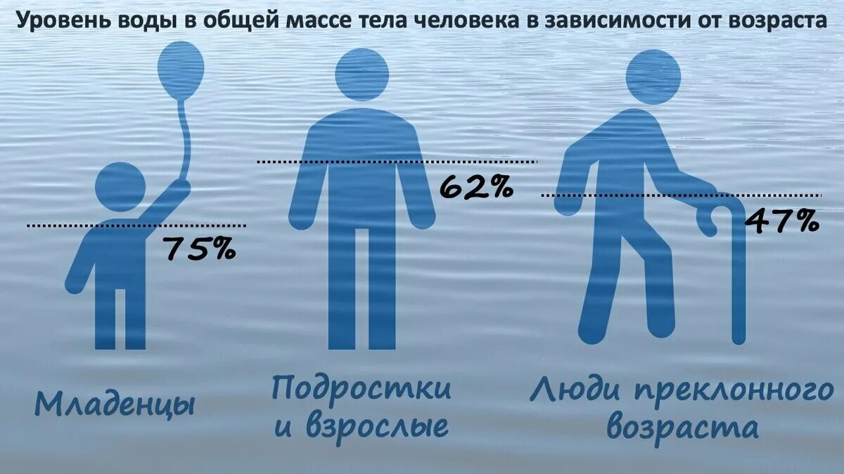 Сколько воды в человеке. Вода и человек. Соотношение воды в человеке. Вода в человеке в разном возрасте. Есть ли в человеке вода