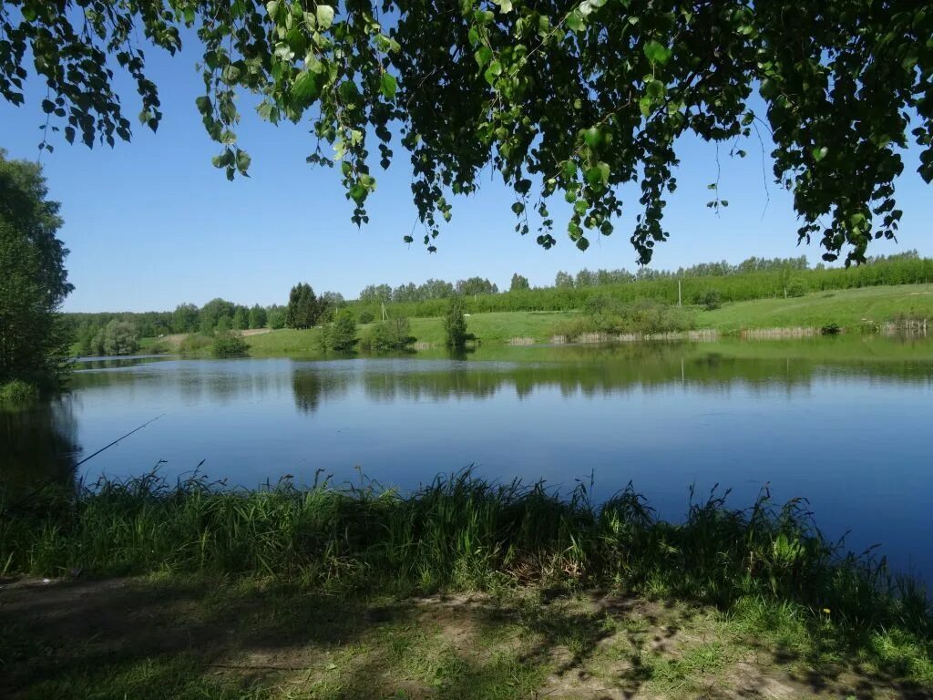 Каменки нижегородская область богородский район. Каменки (Богородский район). Деревня Каменка Нижегородская область. Деревня каменки Нижегородская область Богородский район. Деревня Каменка Нижегородская область Арзамасский район.